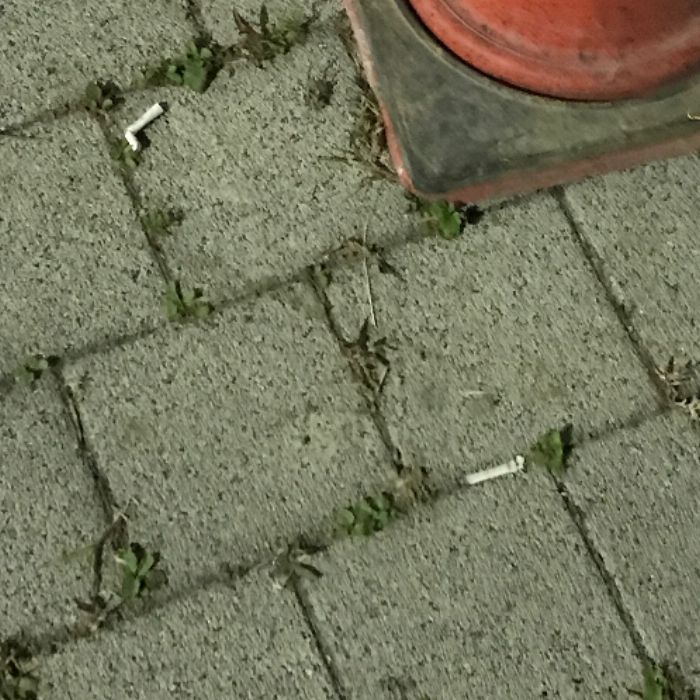  군산시.동네.쓰레기.플로깅