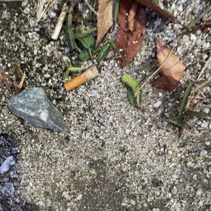  춘천시.동네.쓰레기.플로깅