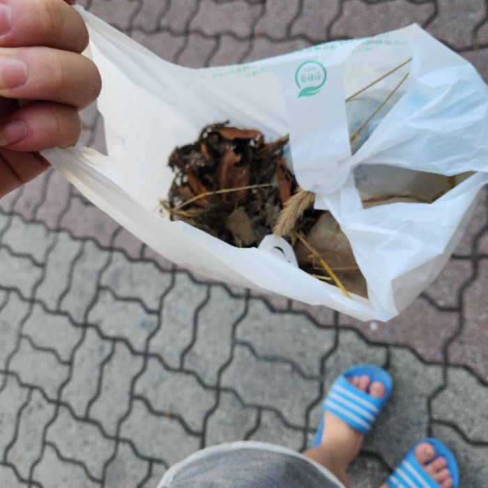  남양주시.동네.쓰레기.플로깅