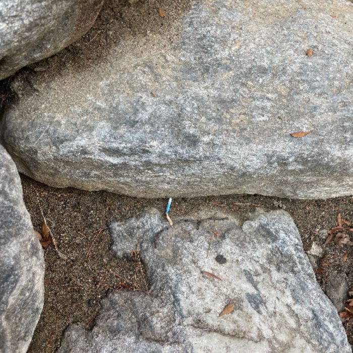  대전서구.동네.쓰레기.플로깅