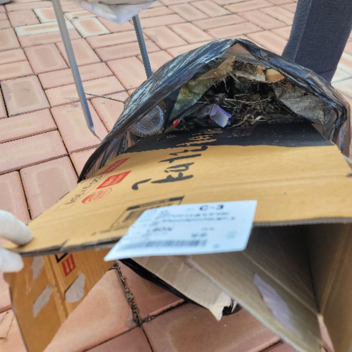  음성군.동네.쓰레기.플로깅