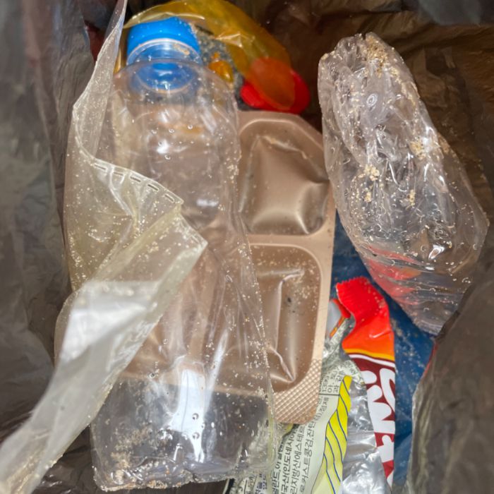  고성군.동네.쓰레기.플로깅