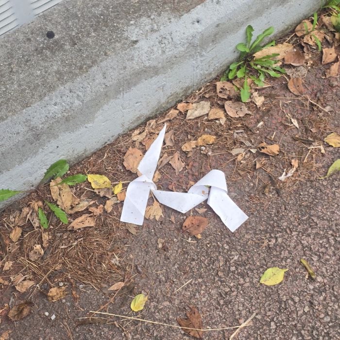  서산시.동네.쓰레기.플로깅