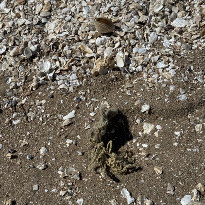  인천중구.동네.쓰레기.플로깅