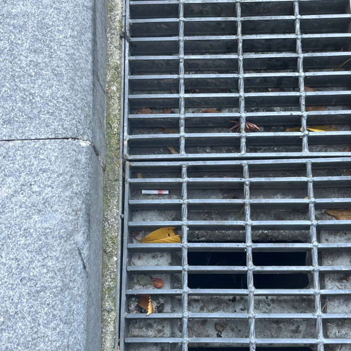  서울강남구.동네.쓰레기.플로깅