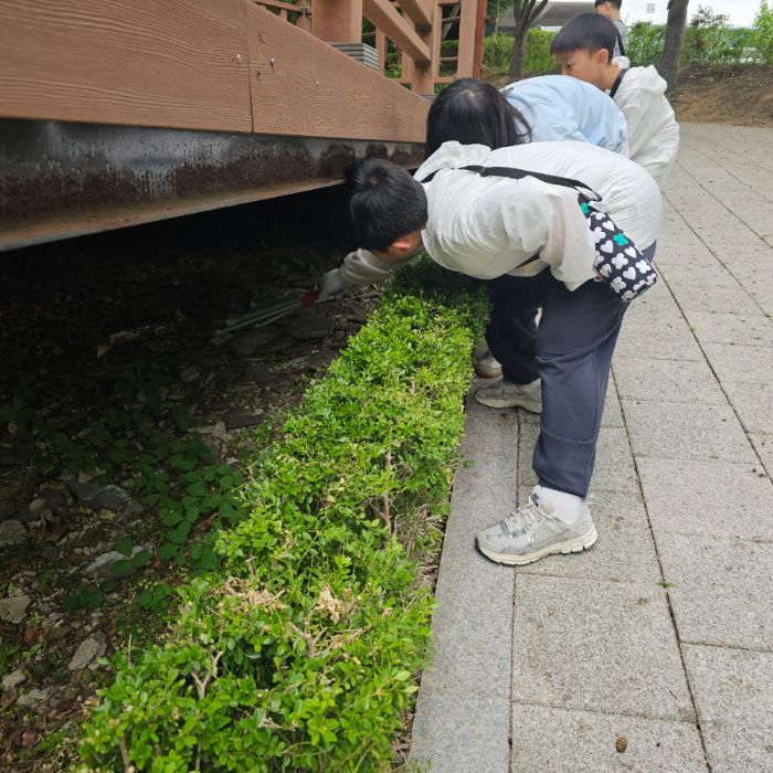  용인시.동네.쓰레기.플로깅