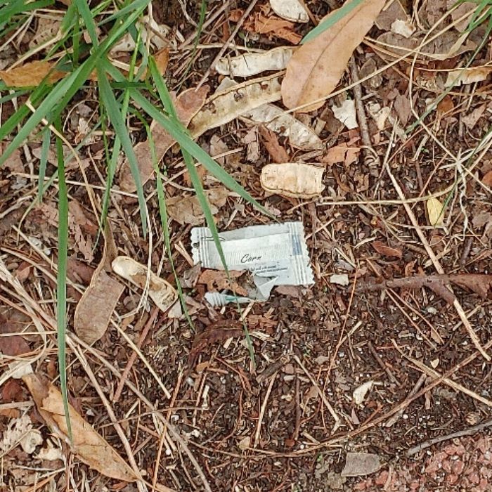  대전동구.동네.쓰레기.플로깅