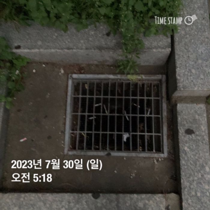  평택시.동네.쓰레기.플로깅