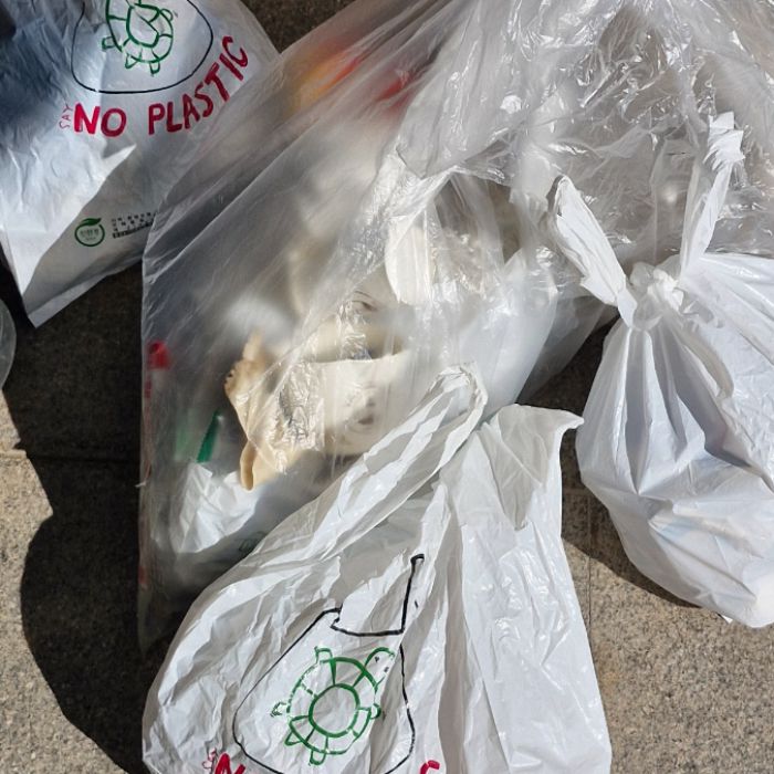  강진군.동네.쓰레기.플로깅