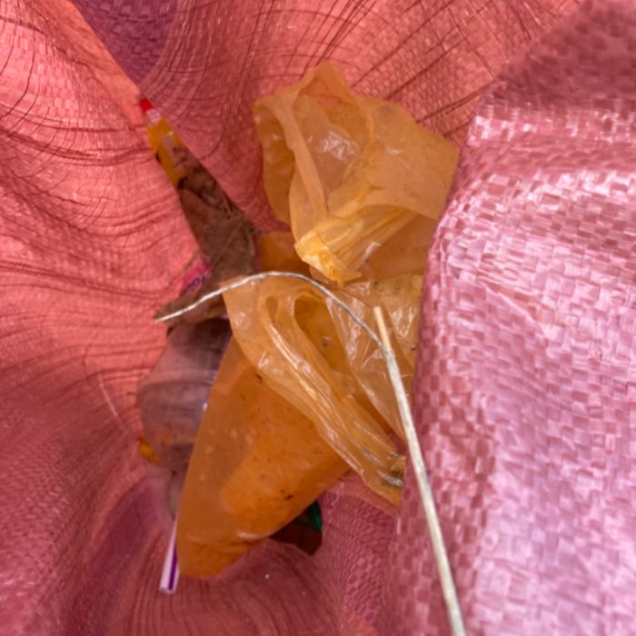  강진군.동네.쓰레기.플로깅