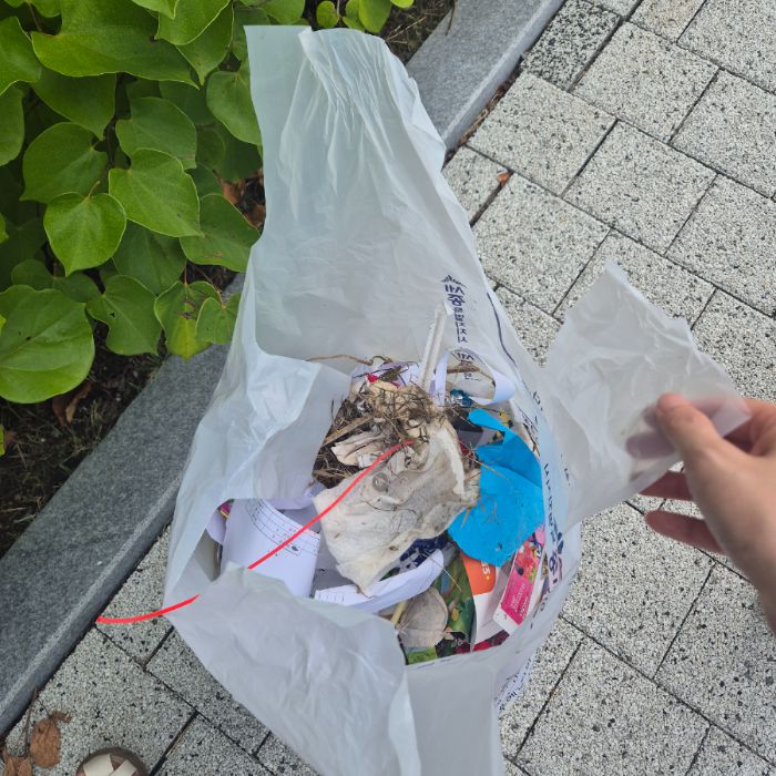  세종시집현동.동네.쓰레기.플로깅