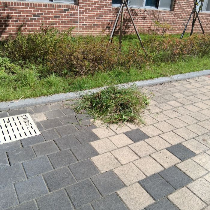  광주시.동네.쓰레기.플로깅