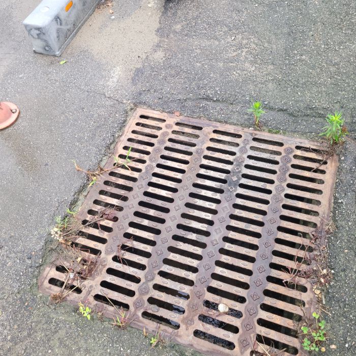  천안시.동네.쓰레기.플로깅