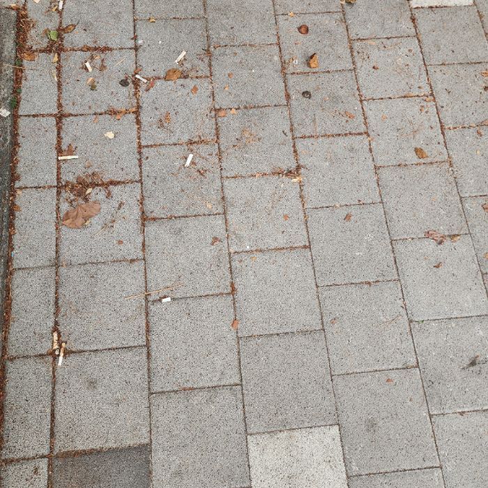  서울송파구.동네.쓰레기.플로깅