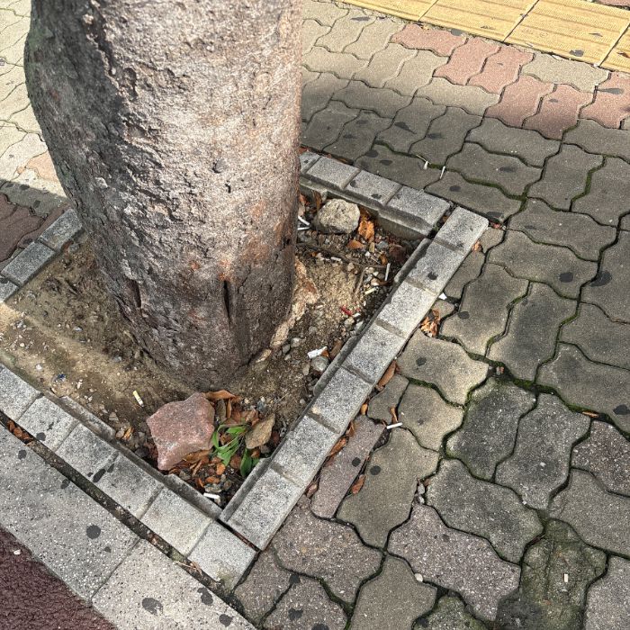 성남시.동네.쓰레기.플로깅