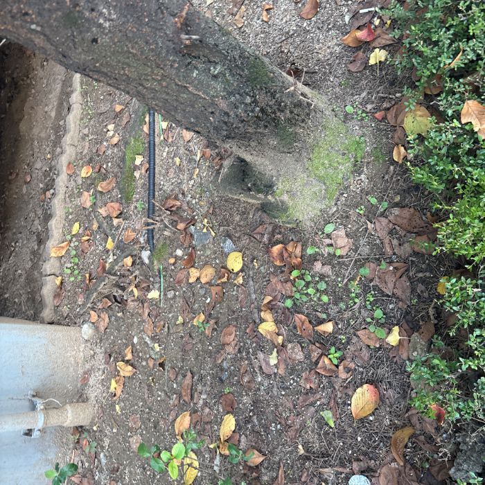 성남시.동네.쓰레기.플로깅