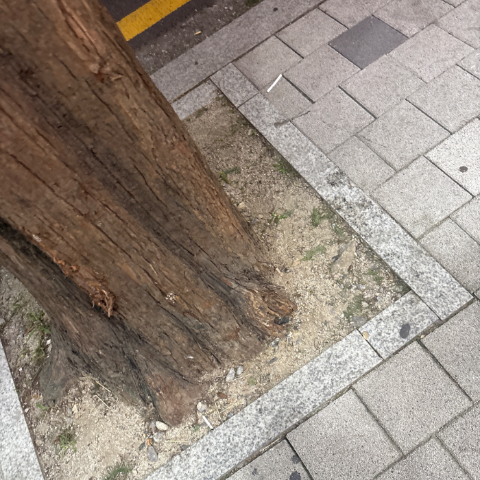 성남시.동네.쓰레기.플로깅