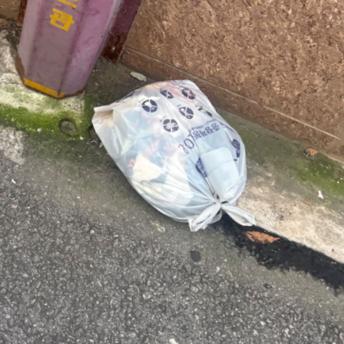 성남시.동네.쓰레기.플로깅