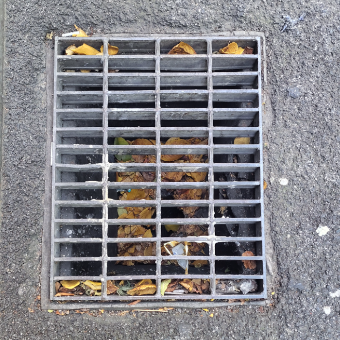  서울강남구.동네.쓰레기.플로깅