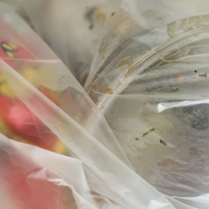  홍성군.동네.쓰레기.플로깅