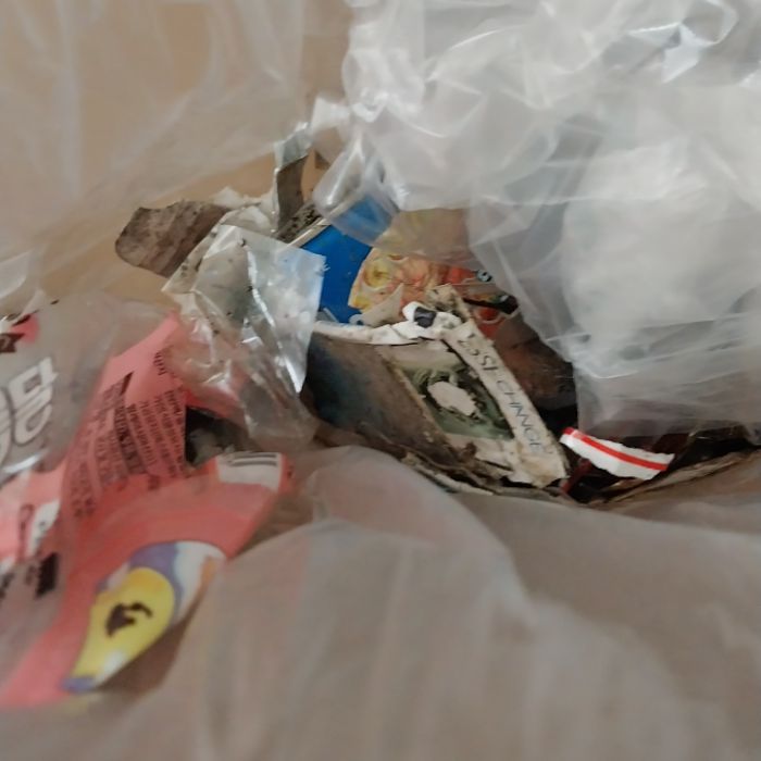  홍성군.동네.쓰레기.플로깅