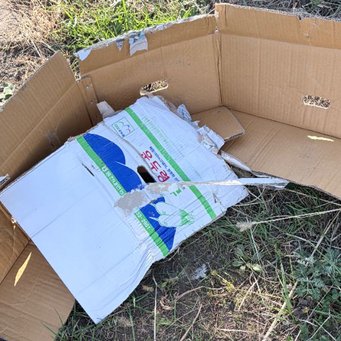  서귀포시.동네.쓰레기.플로깅