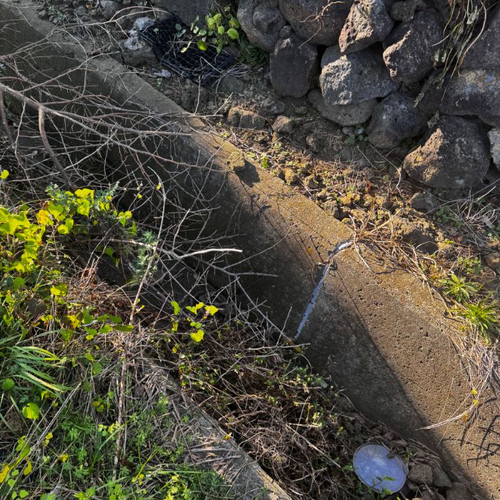  서귀포시.동네.쓰레기.플로깅