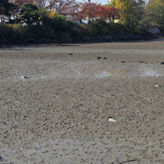  시흥시.동네.쓰레기.플로깅