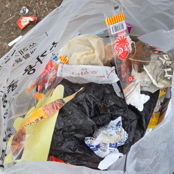  전주시.동네.쓰레기.플로깅