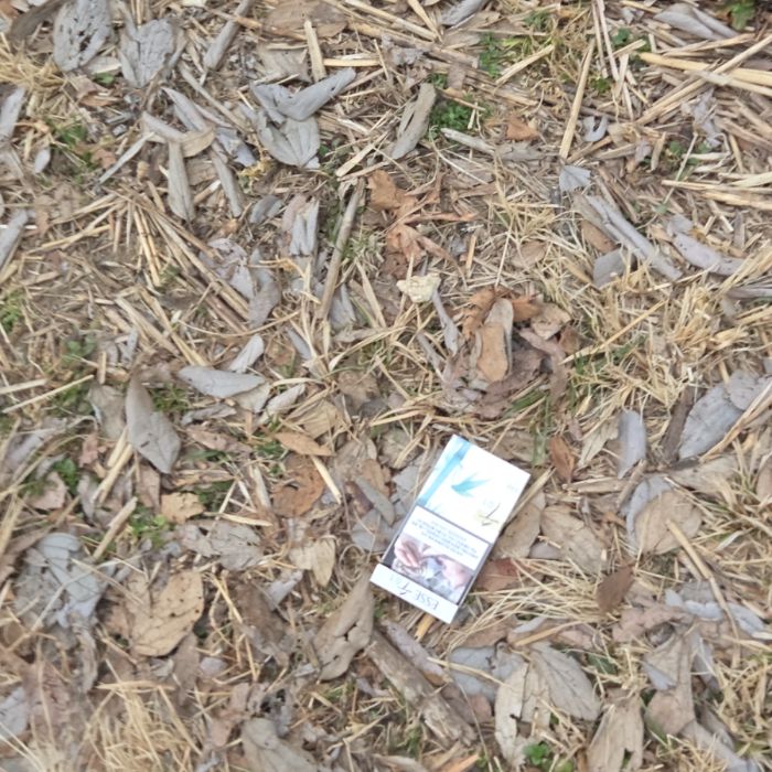  전주시.동네.쓰레기.플로깅