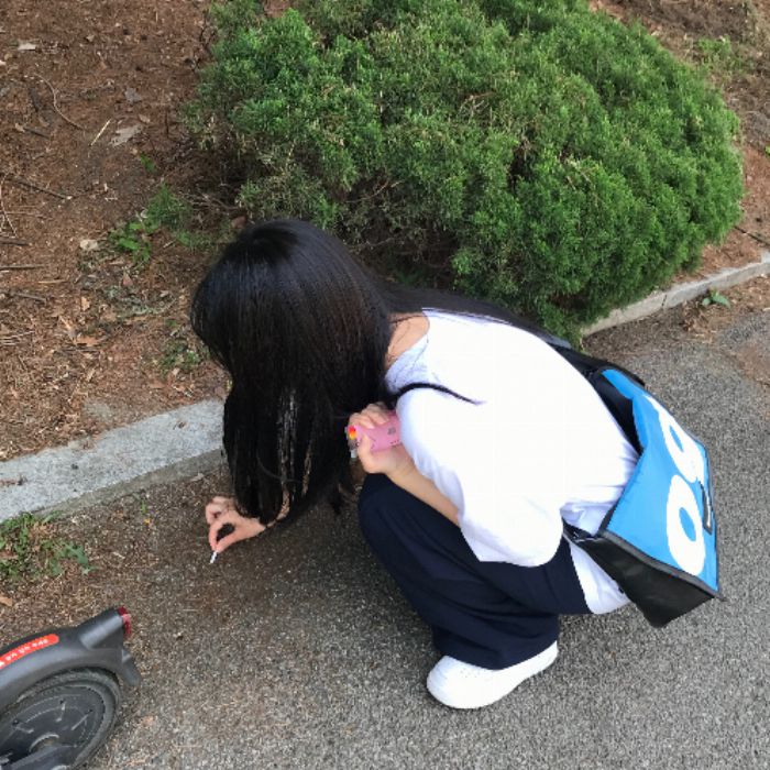  대전중구.동네.쓰레기.플로깅