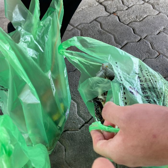  대전서구.동네.쓰레기.플로깅