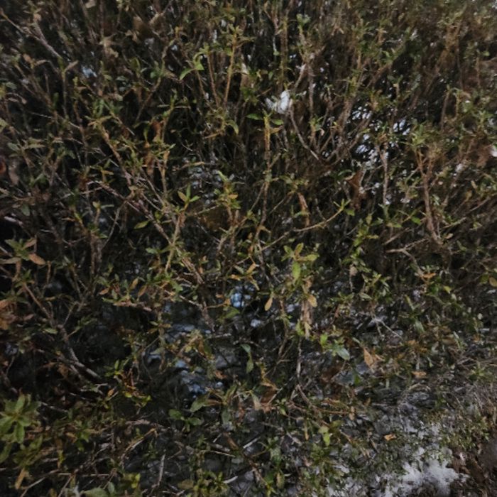  아산시.동네.쓰레기.플로깅