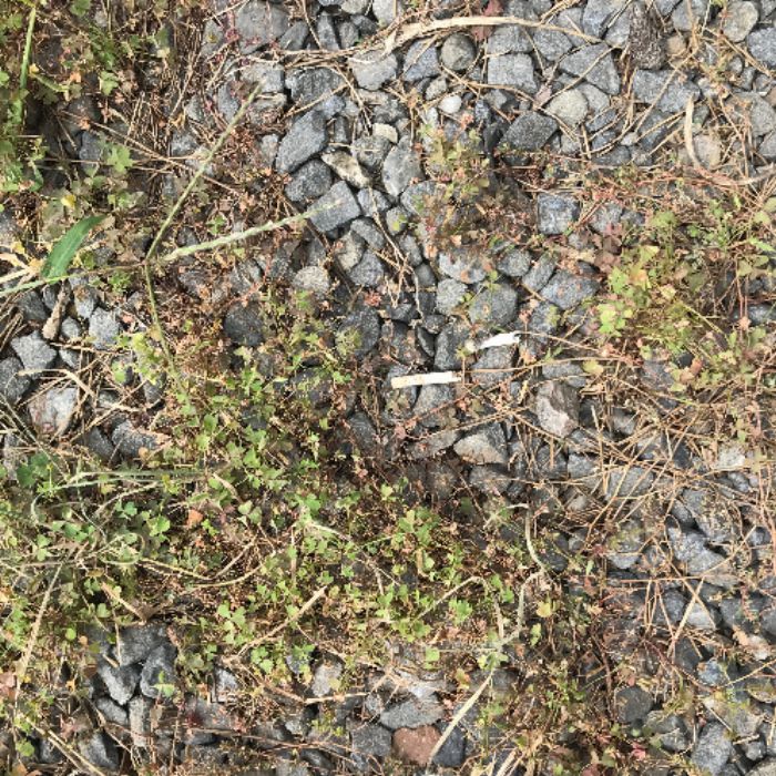pics