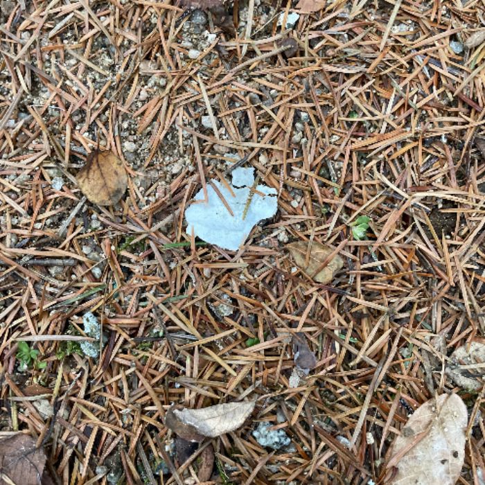  원주시.동네.쓰레기.플로깅