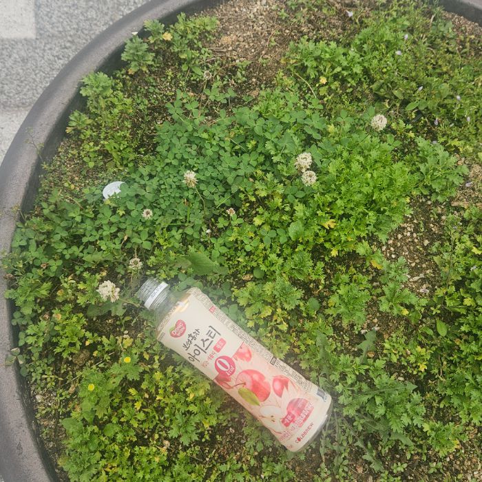  양주시.동네.쓰레기.플로깅