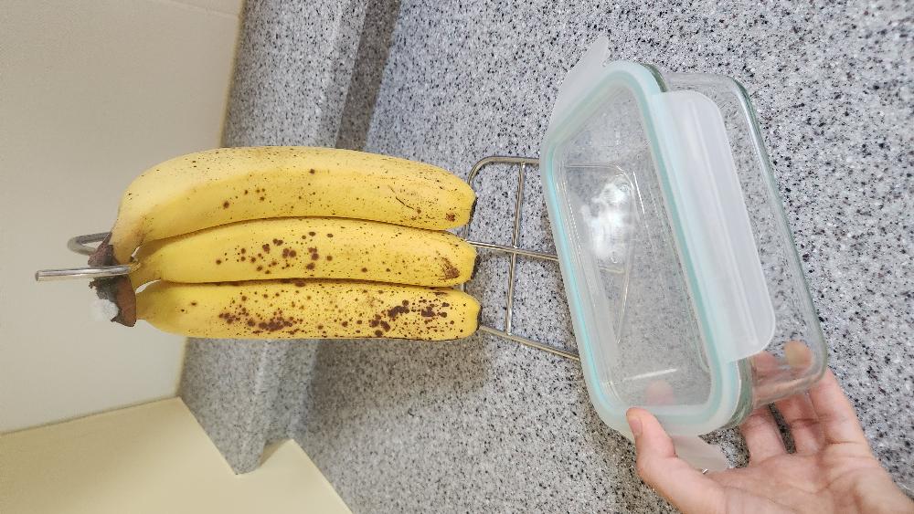 제주특별자치도.음식점.식사.다회용기